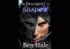 The Fragment of Shadow audiobook